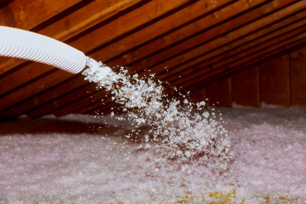 Best Fiberglass Insulation  in Brushy Creek, TX