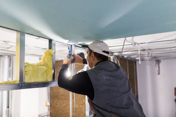 Best Crawl Space Insulation  in Brushy Creek, TX