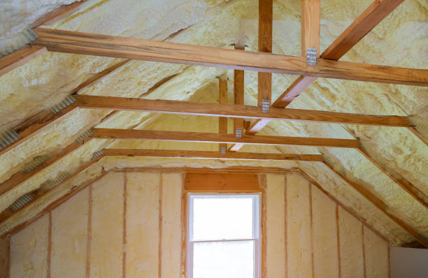 Best Professional Insulation Contractor  in Brushy Creek, TX