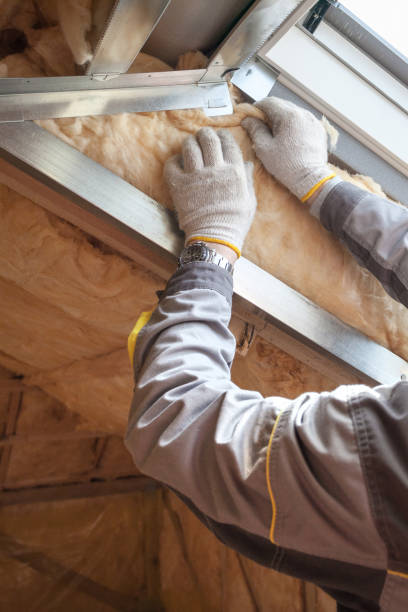 Best Insulation Contractor Near Me  in Brushy Creek, TX