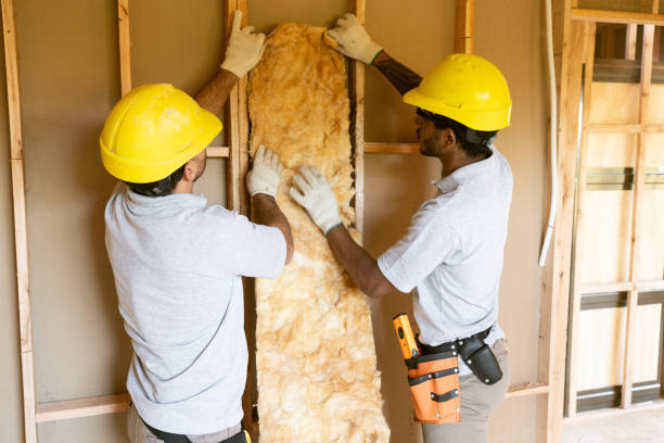Best Residential Insulation Services  in Brushy Creek, TX
