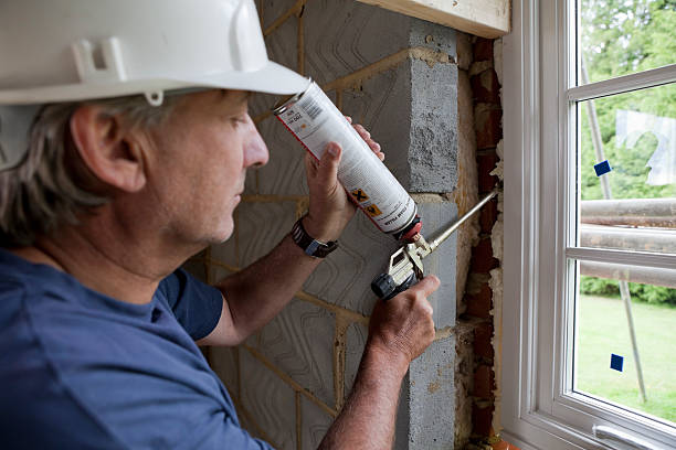 Best Garage Insulation Installation  in Brushy Creek, TX